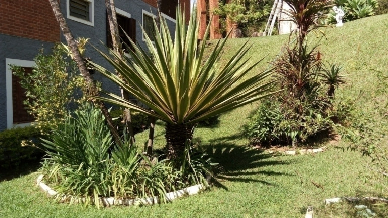 Imagem Chácara com 6 Quartos à Venda, 3 m² em Portão - Atibaia Imagem Chácara com 6 Quartos à Venda, 3 m² em Portão - Atibaia