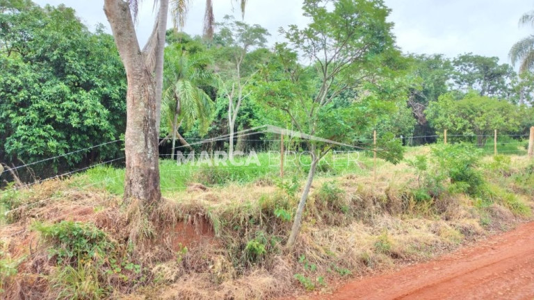 Imagem Fazenda à Venda, 35.000 m² em Floresta - Monte Santo De Minas Imagem Fazenda à Venda, 35.000 m² em Floresta - Monte Santo De Minas
