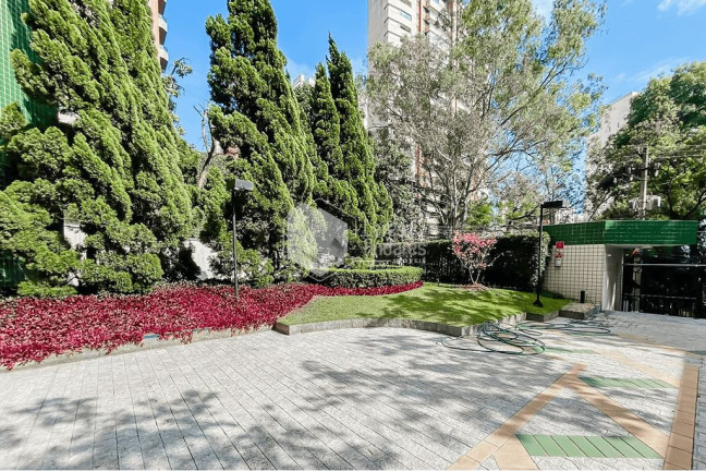 Imagem Apartamento com 2 Quartos à Venda, 58 m² em Vila Suzana - São Paulo Imagem Apartamento com 2 Quartos à Venda, 58 m² em Vila Suzana - São Paulo