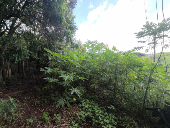 Imagem Chácara com 1 Quarto à Venda, 6 m² em Jundiaquara - Araçoiaba Da Serra Imagem Chácara com 1 Quarto à Venda, 6 m² em Jundiaquara - Araçoiaba Da Serra