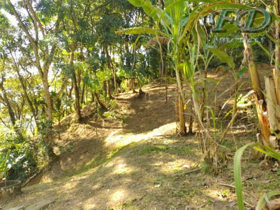 Imagem Chácara com 3 Quartos à Venda, 3.185 m² em Portão - Atibaia