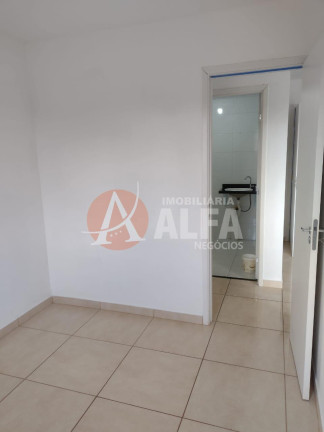 Imagem Apartamento com 2 Quartos à Venda, 54 m² em Jardim ísis - Cotia Imagem Apartamento com 2 Quartos à Venda, 54 m² em Jardim ísis - Cotia