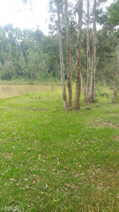 Imagem Chácara à Venda, 80.000 m² em Serra Grande Alemã - Gramado Imagem Chácara à Venda, 80.000 m² em Serra Grande Alemã - Gramado