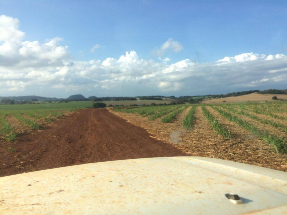 Imagem Fazenda à Venda, 2 m² em Vila Tazitsu - Presidente Prudente Imagem Fazenda à Venda, 2 m² em Vila Tazitsu - Presidente Prudente