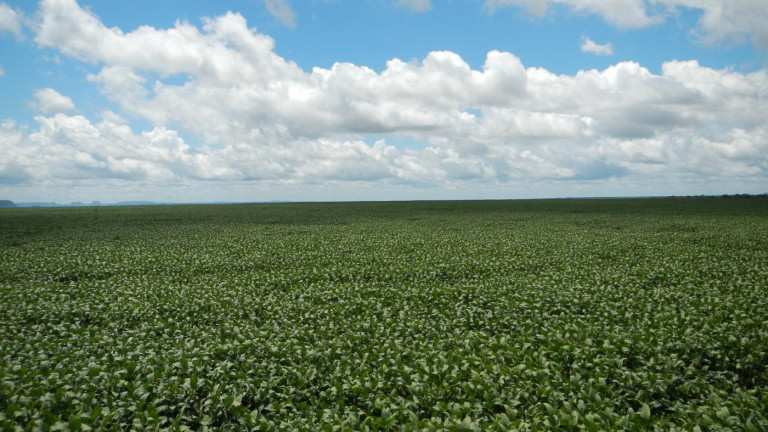 Imagem Fazenda à Venda, 910 m² em Rural - São Francisco Do Maranhão Imagem Fazenda à Venda, 910 m² em Rural - São Francisco Do Maranhão