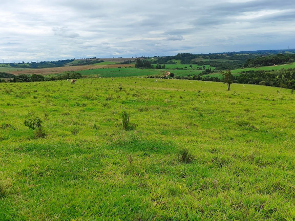 Imagem Imóvel à Venda, 193.600 m² em Centro - Itapetininga Imagem Imóvel à Venda, 193.600 m² em Centro - Itapetininga