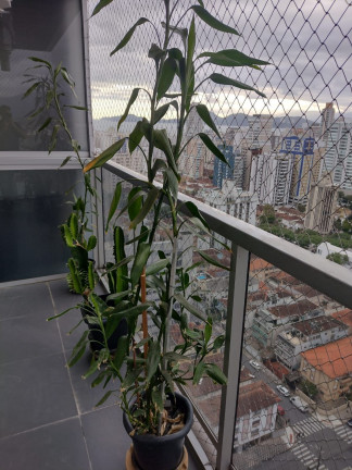 Imagem Apartamento com 1 Quarto à Venda, 74 m² em Embaré - Santos