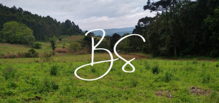 Terreno à Venda, 50.000 m² em Centro - Nova Petrópolis