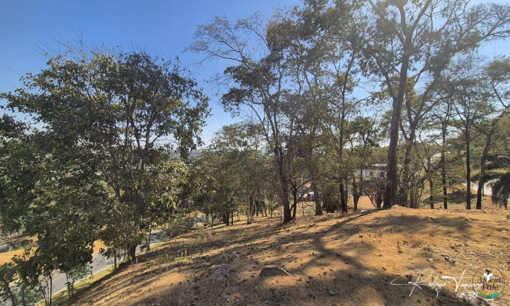 Imagem Terreno à Venda, 2.973 m² em Residencial Aldeia Do Vale - Goiânia