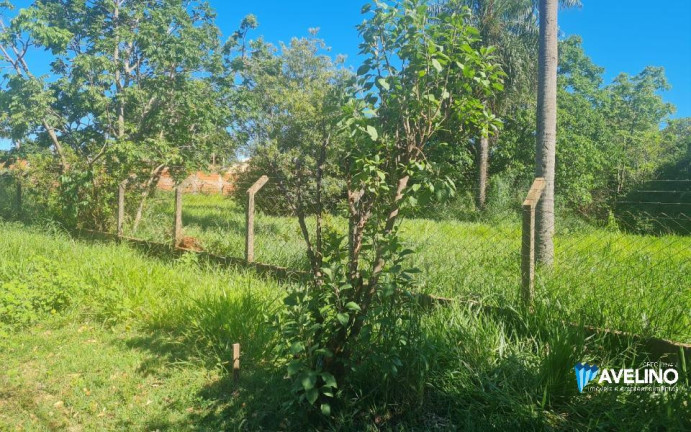 Casa com 1 Quarto à Venda, 10.500 m² em Vila São Jorge Da Lagoa - Campo Grande