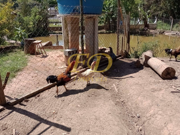 Imagem Chácara com 2 Quartos à Venda, 1.100 m² em Zona Rural Nazaré - Nazaré Paulista