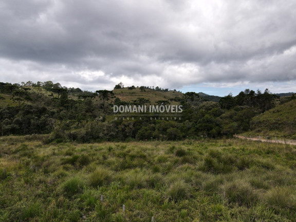 Imagem Terreno à Venda, 7.500 m² em Região Do Parque Da Ferradura - Campos Do Jordão