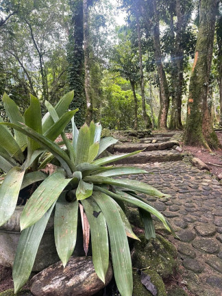 Imagem Imóvel com 5 Quartos à Venda, 20.000 m² em Maresias - São Sebastião
