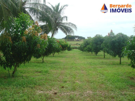 Imagem Fazenda à Venda, 443 m² em Guanaces - Cascavel Imagem Fazenda à Venda, 443 m² em Guanaces - Cascavel