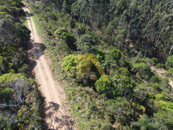 Imagem Terreno à Venda, em Encantada - Garopaba Imagem Terreno à Venda, em Encantada - Garopaba