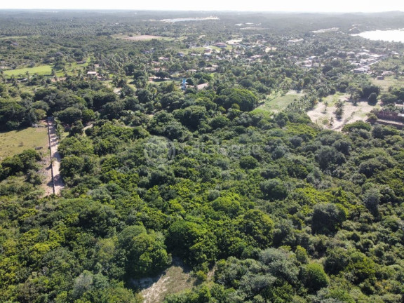 Imagem Terreno à Venda, 40.000 m² em Alcaçuz - Nísia Floresta Imagem Terreno à Venda, 40.000 m² em Alcaçuz - Nísia Floresta