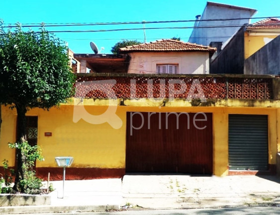 Imagem Terreno à Venda, 125 m² em Vila Maria Alta - São Paulo Imagem Terreno à Venda, 125 m² em Vila Maria Alta - São Paulo