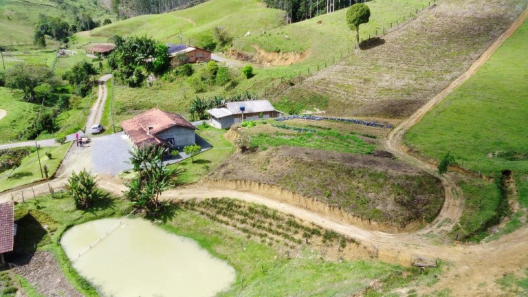 Imagem Imóvel com 5 Quartos à Venda, 140.000 m² em Zona Rural - Presidente Nereu
