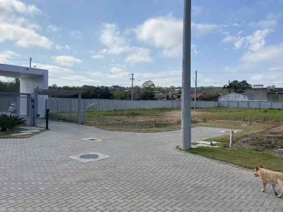 Imagem Terreno em Condomínio à Venda, 184 m² em Ipanema - Porto Alegre Imagem Terreno em Condomínio à Venda, 184 m² em Ipanema - Porto Alegre
