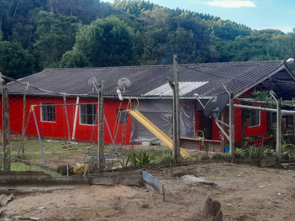 Imagem Imóvel com 3 Quartos à Venda, 72.000 m² em Centro - Tunas Do Parana