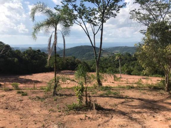 Imagem Terreno à Venda,  em Lomba Grande - Novo Hamburgo