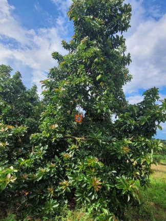 Imagem Fazenda à Venda, 44.500 m² em Monte Mor - Monte Mor Imagem Fazenda à Venda, 44.500 m² em Monte Mor - Monte Mor