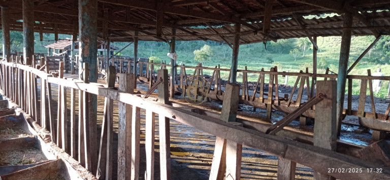 Imagem Fazenda à Venda, 1.010.000 m² em Jardim São Dimas - São José Dos Campos Imagem Fazenda à Venda, 1.010.000 m² em Jardim São Dimas - São José Dos Campos