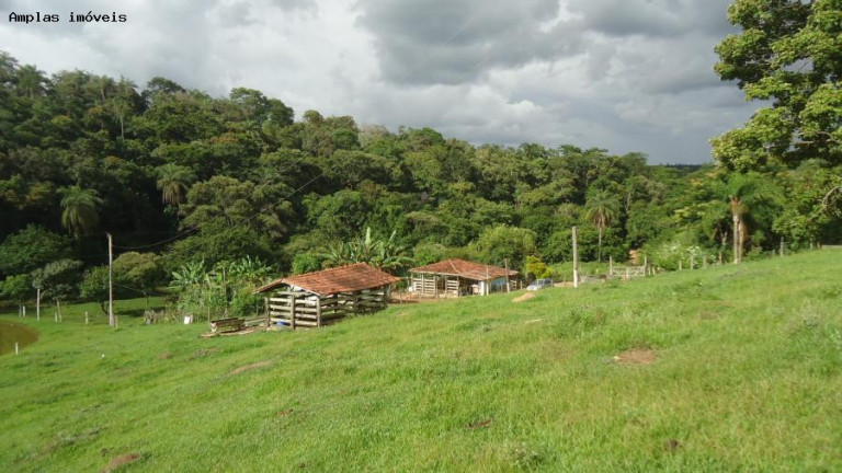 Imagem Fazenda à Venda, 6 m² em Azurita - Mateus Leme Imagem Fazenda à Venda, 6 m² em Azurita - Mateus Leme