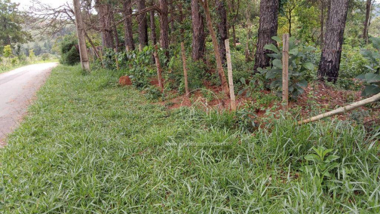 Imagem Terreno em Condomínio à Venda, 15.070 m² em Estoril - Nova Lima