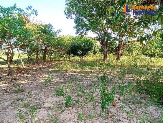 Imagem Chácara à Venda, 15 m² em Tijucussú - Cascavel Imagem Chácara à Venda, 15 m² em Tijucussú - Cascavel