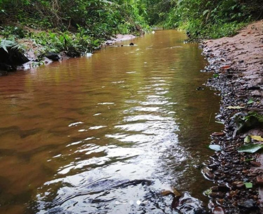 Imagem Chácara à Venda, 20 m² em Maria Helena - Maria Helena