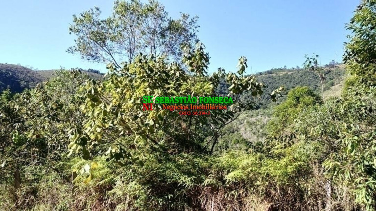 Imagem Fazenda à Venda, 20 m² em Centro - Monteiro Lobato Imagem Fazenda à Venda, 20 m² em Centro - Monteiro Lobato