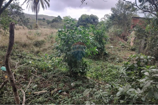 Imagem Terreno à Venda, 721 m² em Rincao Mimoso - Maricá Imagem Terreno à Venda, 721 m² em Rincao Mimoso - Maricá