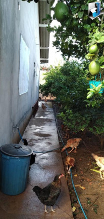 Imagem Casa com 1 Quarto à Venda, 60 m² em Bairro Do Vaz - Quadra