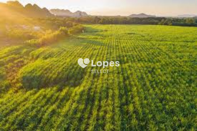 Imagem Imóvel com 1 Quarto à Venda, 310 m² em área Rural De Ribeirão Preto - Ribeirão Preto Imagem Imóvel com 1 Quarto à Venda, 310 m² em área Rural De Ribeirão Preto - Ribeirão Preto