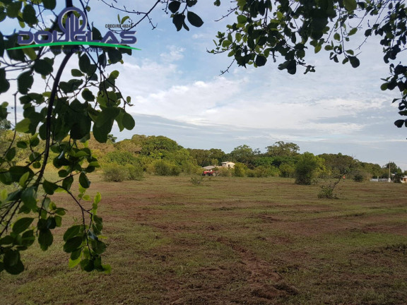 Imagem Chácara à Venda, em Viamão Imagem Chácara à Venda, em Viamão