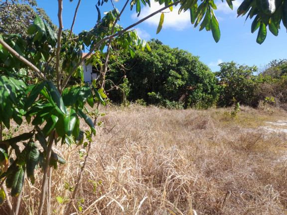 Imagem Terreno à Venda, em Centro - Tibau Do Sul Imagem Terreno à Venda, em Centro - Tibau Do Sul