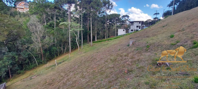 Imagem Terreno em Condomínio à Venda, 1.146 m² em Alto Do Capivari - Campos Do Jordão Imagem Terreno em Condomínio à Venda, 1.146 m² em Alto Do Capivari - Campos Do Jordão