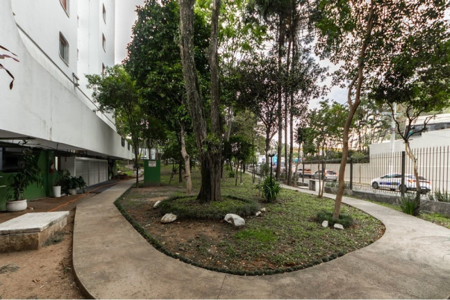 Imagem Apartamento com 3 Quartos à Venda, 96 m² em Tucuruvi - São Paulo Imagem Apartamento com 3 Quartos à Venda, 96 m² em Tucuruvi - São Paulo