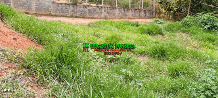 Imagem Chácara com 2 Quartos à Venda, 1.000 m² em Centro - Paraibuna Imagem Chácara com 2 Quartos à Venda, 1.000 m² em Centro - Paraibuna