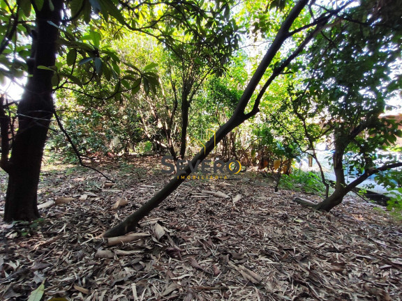 Imagem Terreno à Venda, 2.500 m² em Nova Cidade - São Gonçalo Imagem Terreno à Venda, 2.500 m² em Nova Cidade - São Gonçalo