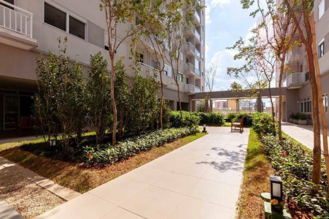 Imagem Apartamento com 2 Quartos para Alugar, 65 m² em Brás - São Paulo Imagem Apartamento com 2 Quartos para Alugar, 65 m² em Brás - São Paulo