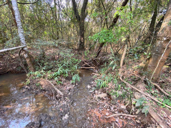 Imagem Terreno à Venda, 27 m² em Centro - Itatiaiuçu Imagem Terreno à Venda, 27 m² em Centro - Itatiaiuçu