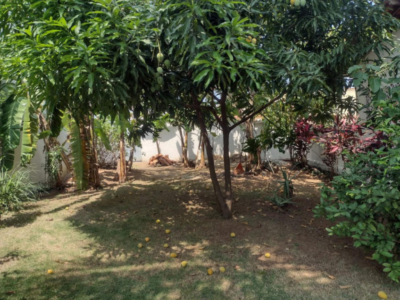 Imagem Terreno à Venda, 225 m² em Campo Grande - Rio De Janeiro Imagem Terreno à Venda, 225 m² em Campo Grande - Rio De Janeiro