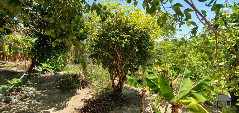 Imagem Casa com 4 Quartos à Venda,  em Fernão Dias - Esmeraldas