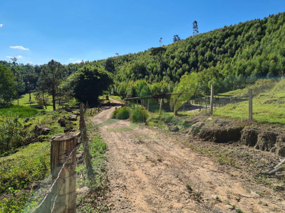 Imagem Chácara com 4 Quartos à Venda, 532.400 m² em Santa Luzia - Nazaré Paulista Imagem Chácara com 4 Quartos à Venda, 532.400 m² em Santa Luzia - Nazaré Paulista
