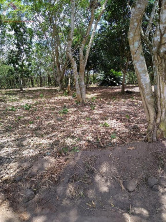 Imagem Terreno à Venda, 50.000 m² em Aldeia - Camaragibe Imagem Terreno à Venda, 50.000 m² em Aldeia - Camaragibe