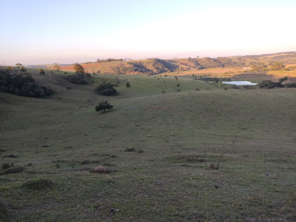 Imagem Imóvel com 2 Quartos à Venda, 338.800 m² em Centro - Itapetininga Imagem Imóvel com 2 Quartos à Venda, 338.800 m² em Centro - Itapetininga