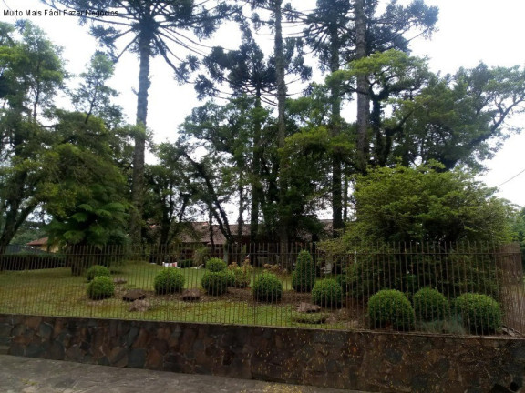 Imagem Casa com 4 Quartos à Venda, 280 m² em Sinoserra - Canela Imagem Casa com 4 Quartos à Venda, 280 m² em Sinoserra - Canela