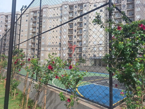 Imagem Apartamento com 2 Quartos à Venda, 52 m² em Terra Rica - Piracicaba Imagem Apartamento com 2 Quartos à Venda, 52 m² em Terra Rica - Piracicaba